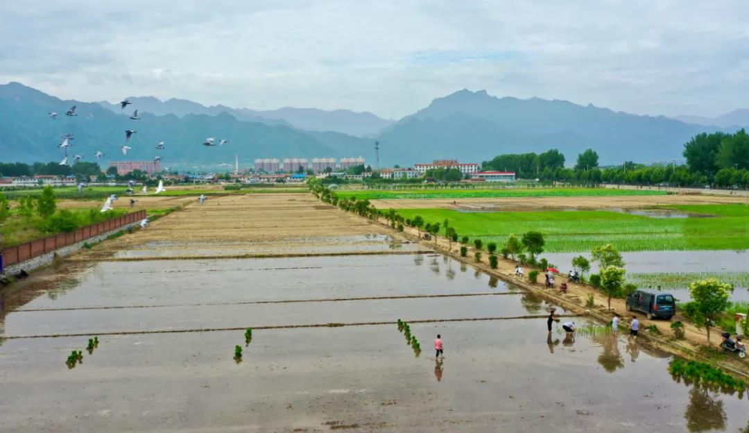 美丽中国 • 陕西篇丨壮美河山 多彩三秦