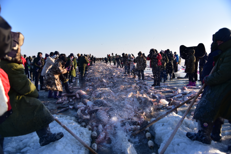 美丽中国 • 吉林篇丨守护白山松水 擘画生态吉林