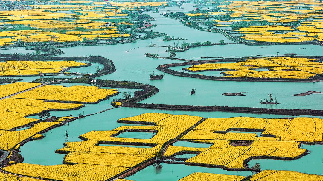 美丽中国 • 安徽篇丨建设绿色江淮美好家园