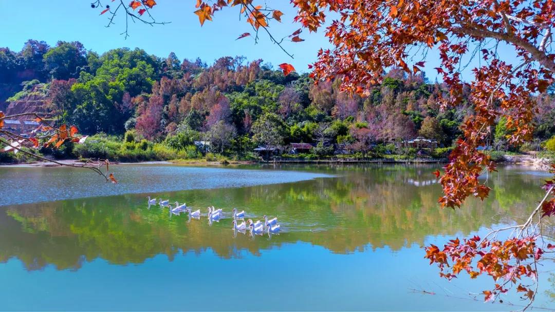 美丽中国 • 海南篇丨绿色正能量 美好新海南