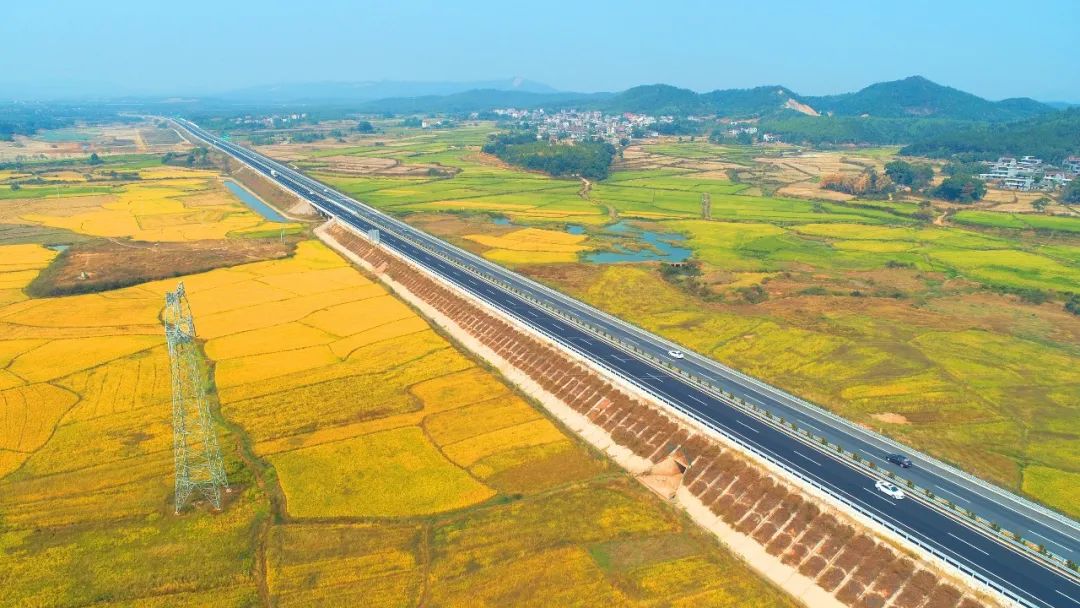 美丽中国 • 江西篇丨手握“红古绿”调色板 绘就“江西风景独好”新画卷