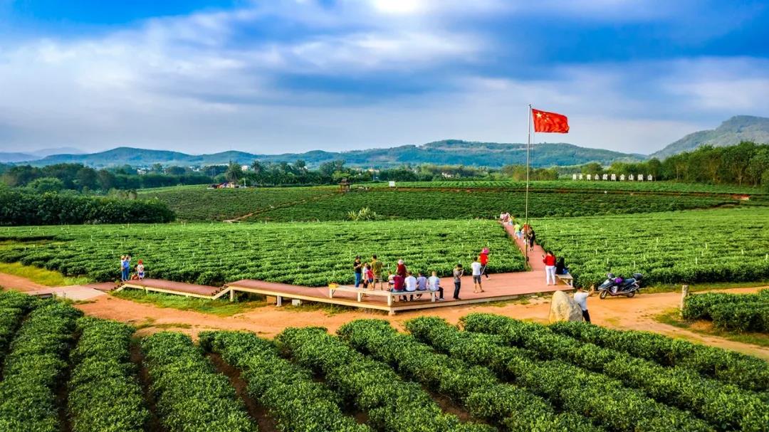 美丽中国 • 海南篇丨绿色正能量 美好新海南