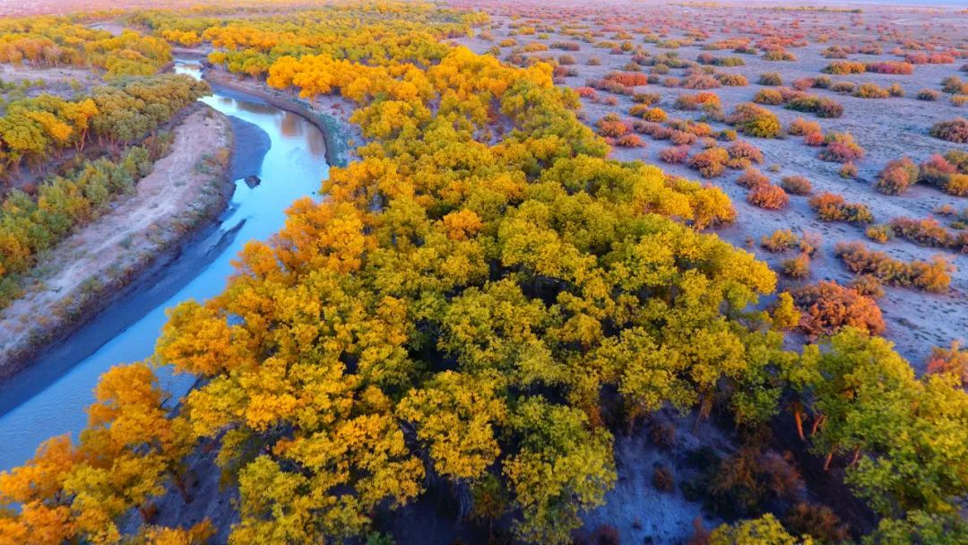 美丽中国 • 甘肃篇丨建设山川秀美新甘肃 筑牢西部生态安全屏障