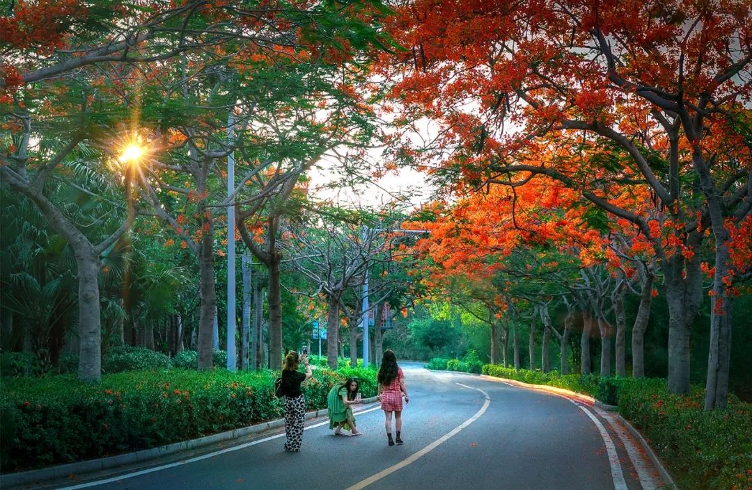 美丽中国 • 海南篇丨绿色正能量 美好新海南