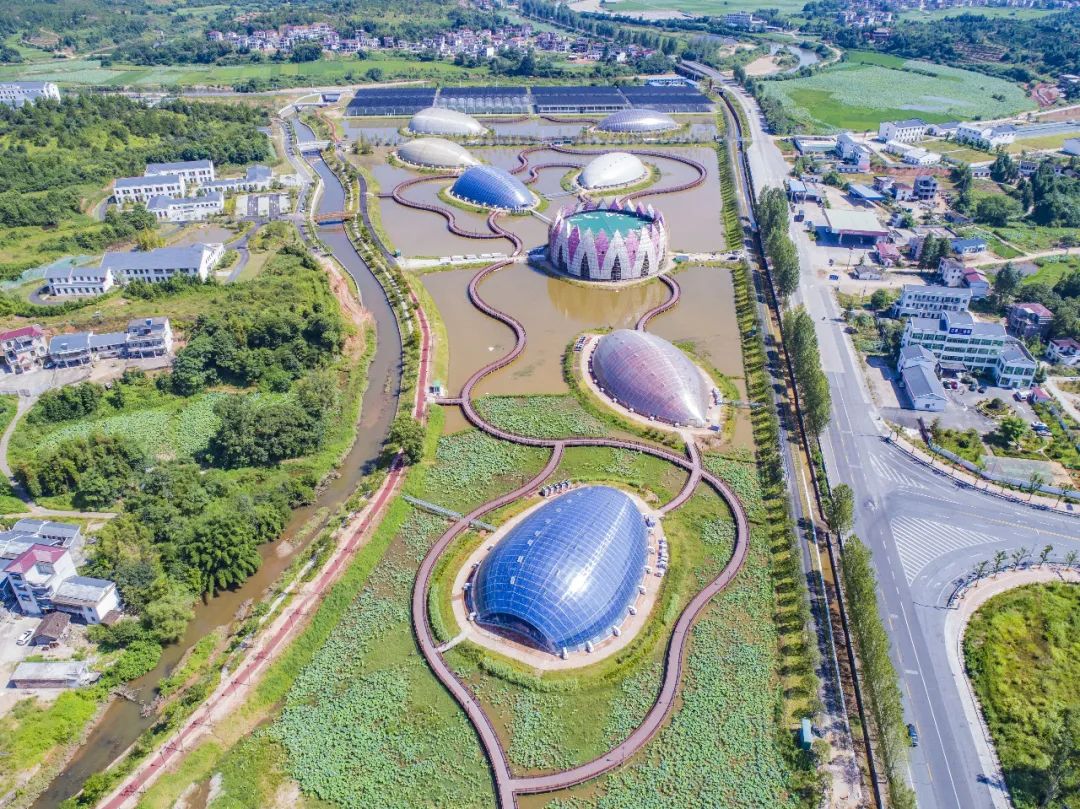 美丽中国 • 江西篇丨手握“红古绿”调色板 绘就“江西风景独好”新画卷