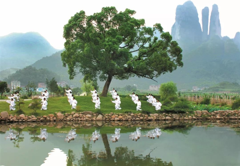 美丽中国 • 浙江篇丨打造美丽中国先行示范区