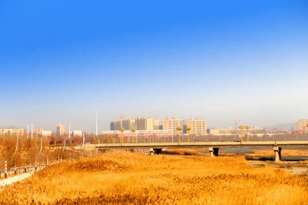 美丽中国 • 新疆篇丨大美新疆 绿色发展