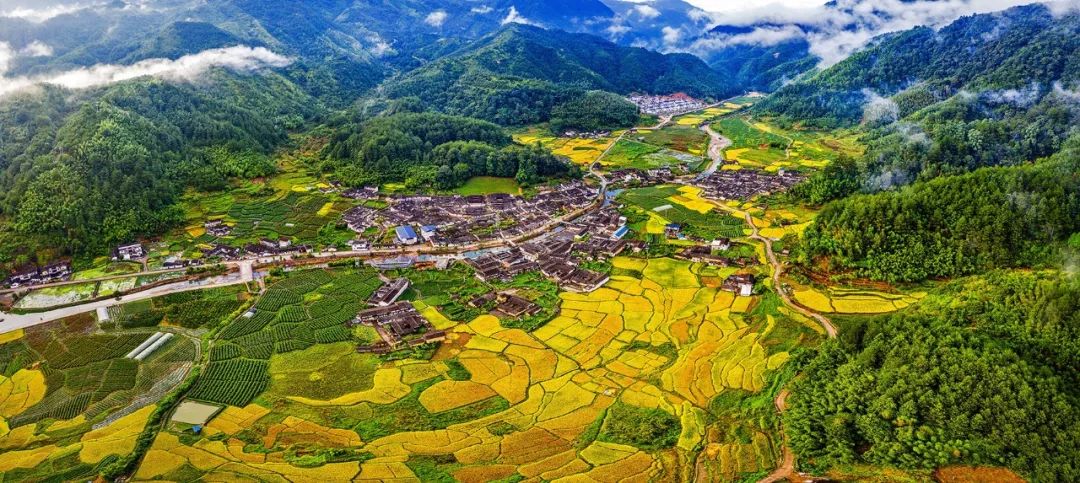 美丽中国 • 福建篇丨画好“山水画”,做好山水田文章