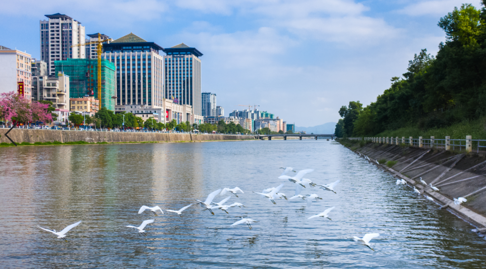 美丽中国 • 广东篇丨山河粤秀,大美广东
