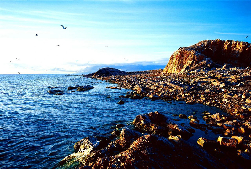 美丽中国 • 青海篇丨大美青海 生态高地