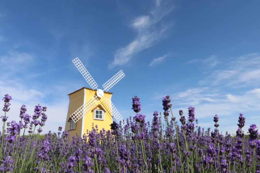 美丽中国 • 甘肃篇丨建设山川秀美新甘肃 筑牢西部生态安全屏障