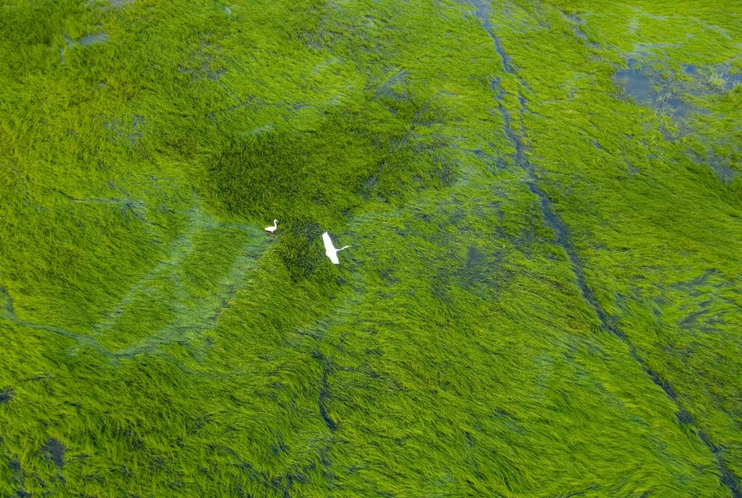 美丽中国 • 江西篇丨手握“红古绿”调色板 绘就“江西风景独好”新画卷