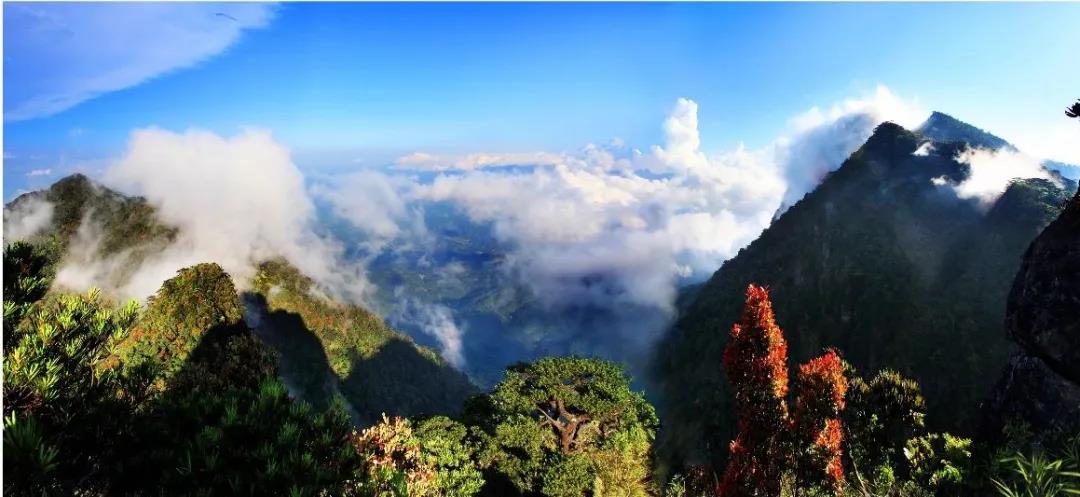 美丽中国 • 海南篇丨绿色正能量 美好新海南