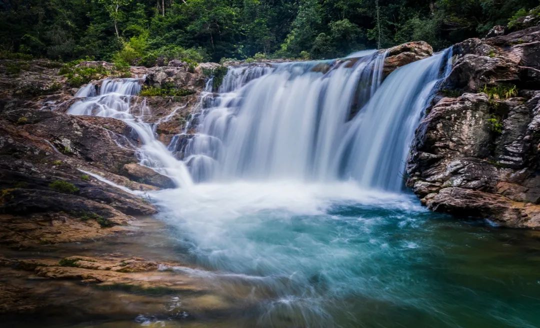 美丽中国 • 海南篇丨绿色正能量 美好新海南