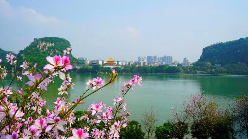 美丽中国 • 广西篇丨八桂山水,宛如画中游