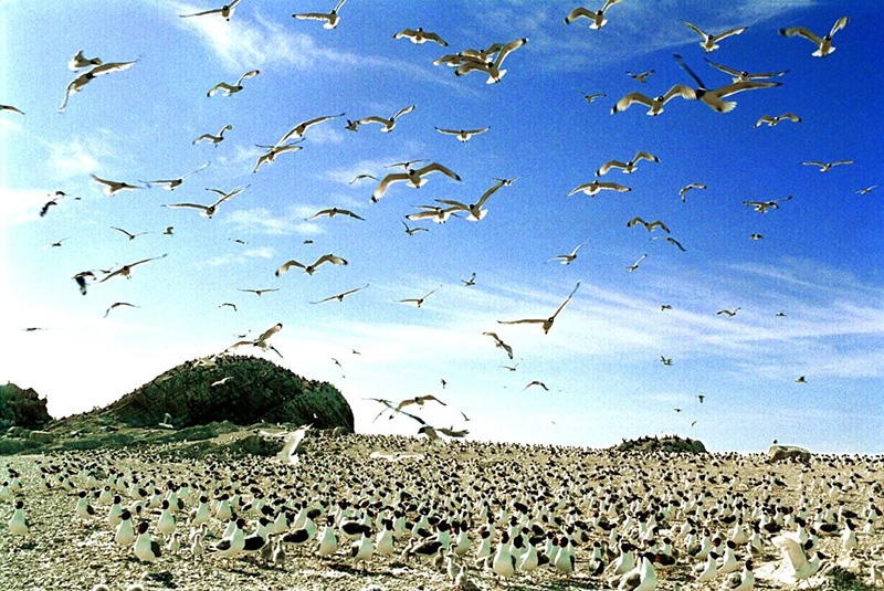 美丽中国 • 青海篇丨大美青海 生态高地