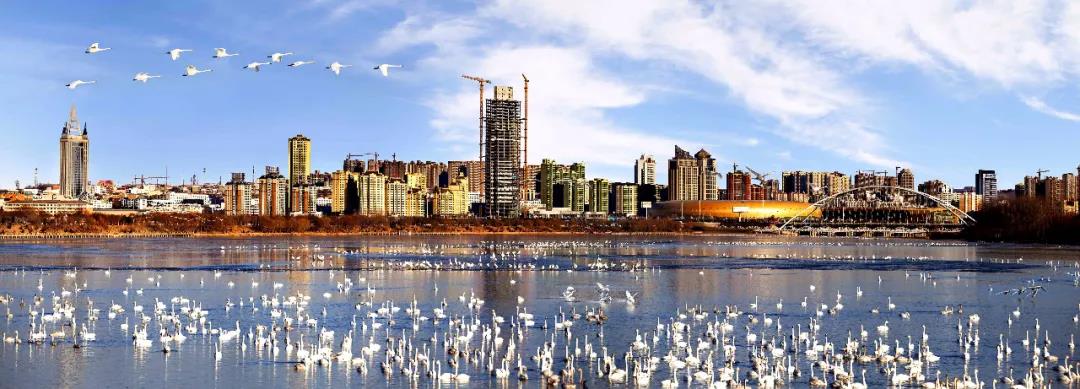 美丽中国 • 河南篇丨青山碧水映蓝天,美丽河南入画来