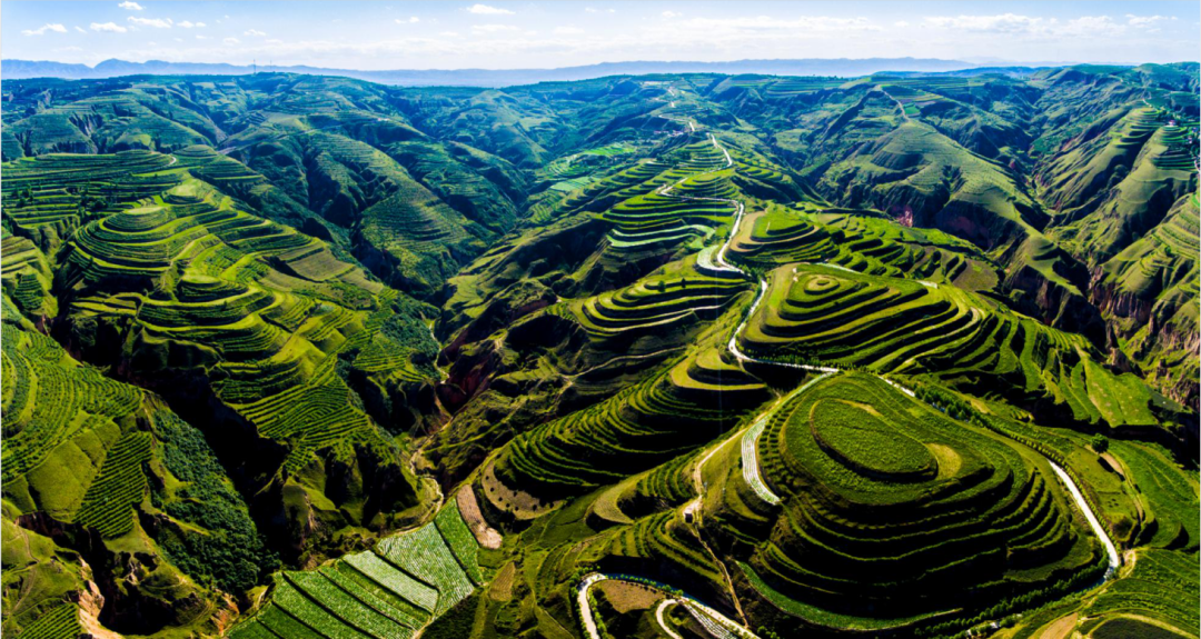 美丽中国 • 宁夏篇丨大美宁夏 生态立区