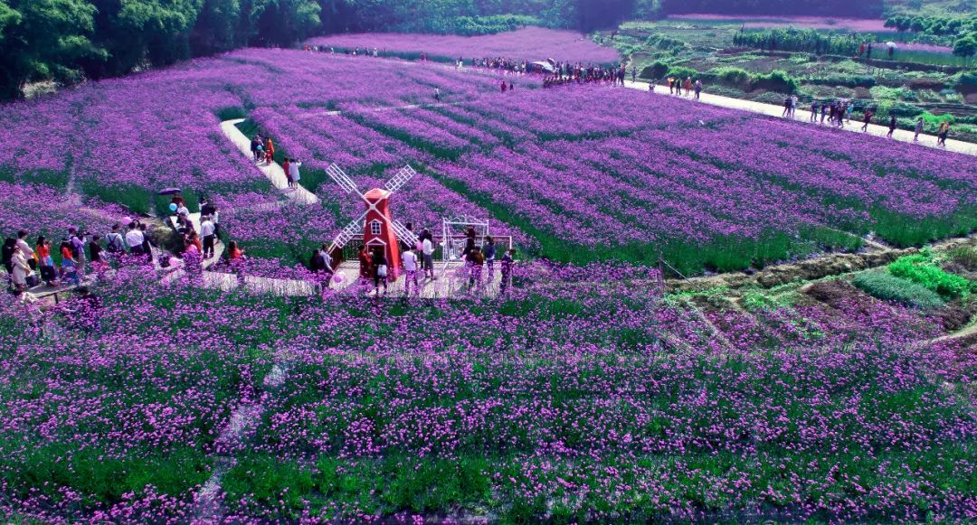 美丽中国 • 江西篇丨手握“红古绿”调色板 绘就“江西风景独好”新画卷