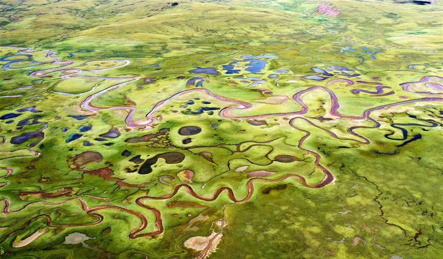 美丽中国 • 西藏篇丨青山常在 绿水长流 空气常新