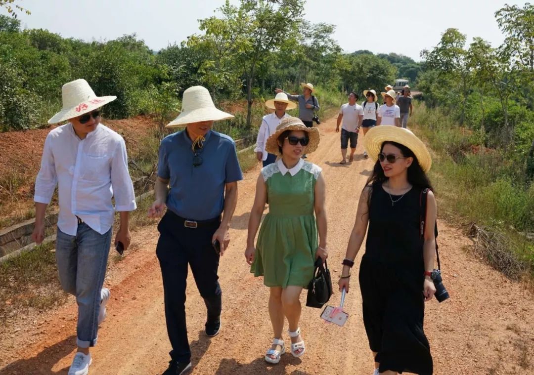 江西 ▏梦里桃源 画里上高