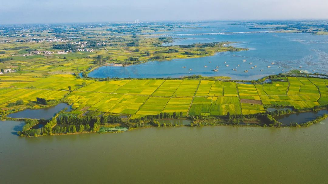 美丽中国 • 安徽篇丨建设绿色江淮美好家园