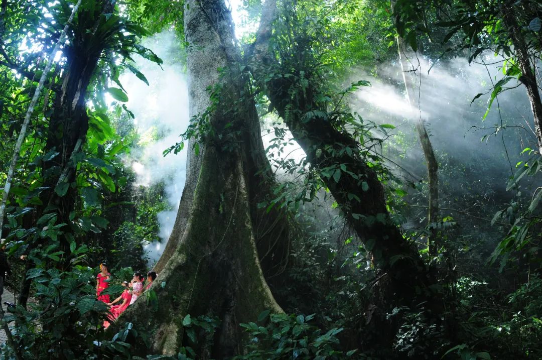 美丽中国 • 云南篇丨碧水蓝天 美丽彩云南