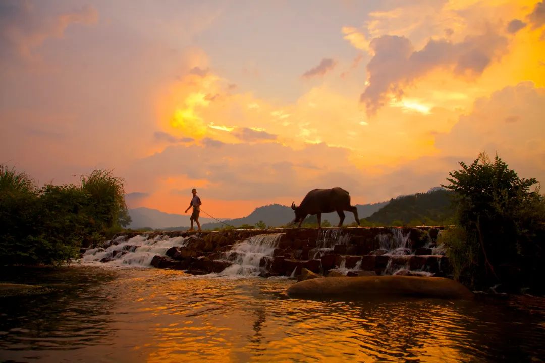 美丽中国 • 江西篇丨手握“红古绿”调色板 绘就“江西风景独好”新画卷