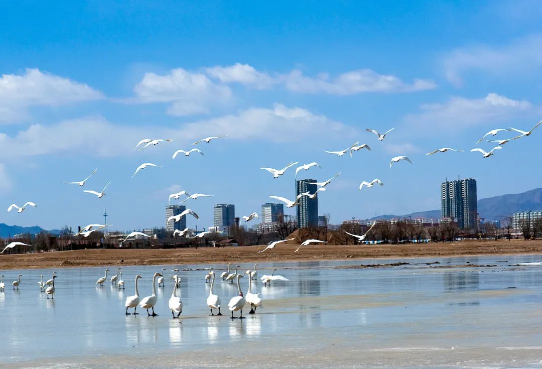 美丽中国 • 山西篇丨层崖翠接蔚蓝天