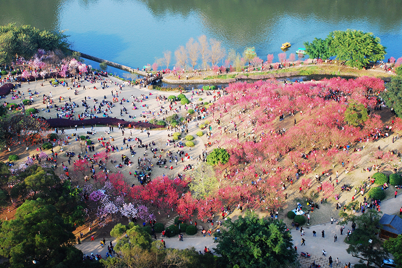 美丽中国 • 广西篇丨八桂山水,宛如画中游