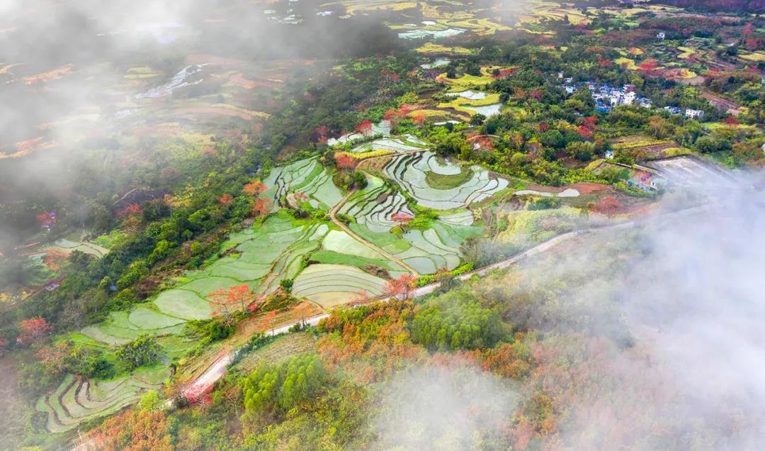 美丽中国 • 海南篇丨绿色正能量 美好新海南