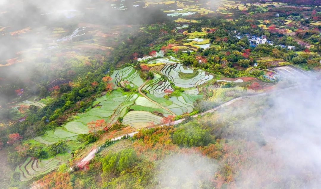 美丽中国 • 海南篇丨绿色正能量 美好新海南