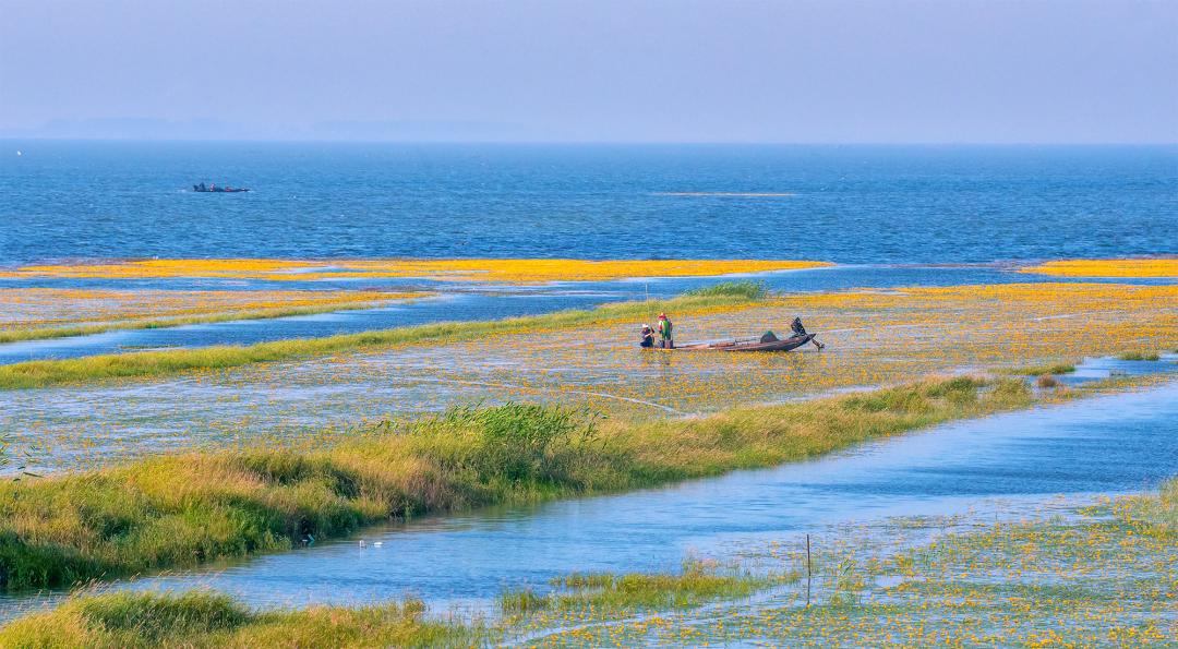 美丽中国 • 安徽篇丨建设绿色江淮美好家园