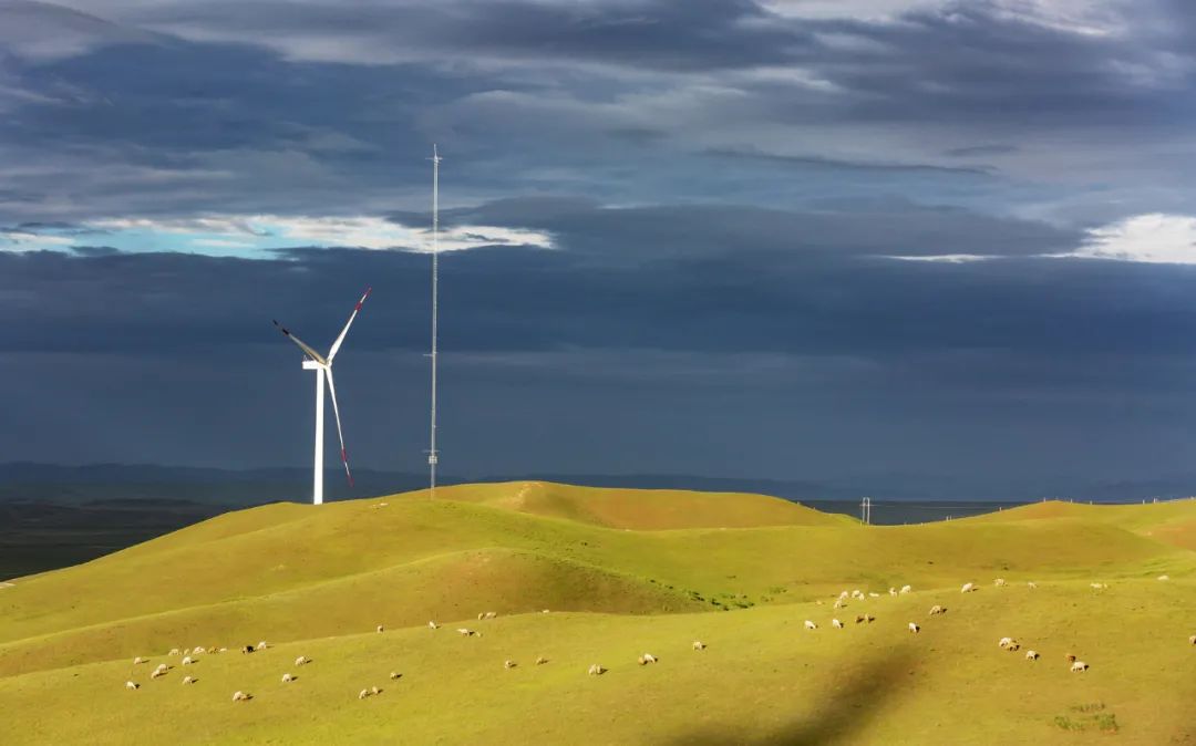 美丽中国 • 甘肃篇丨建设山川秀美新甘肃 筑牢西部生态安全屏障