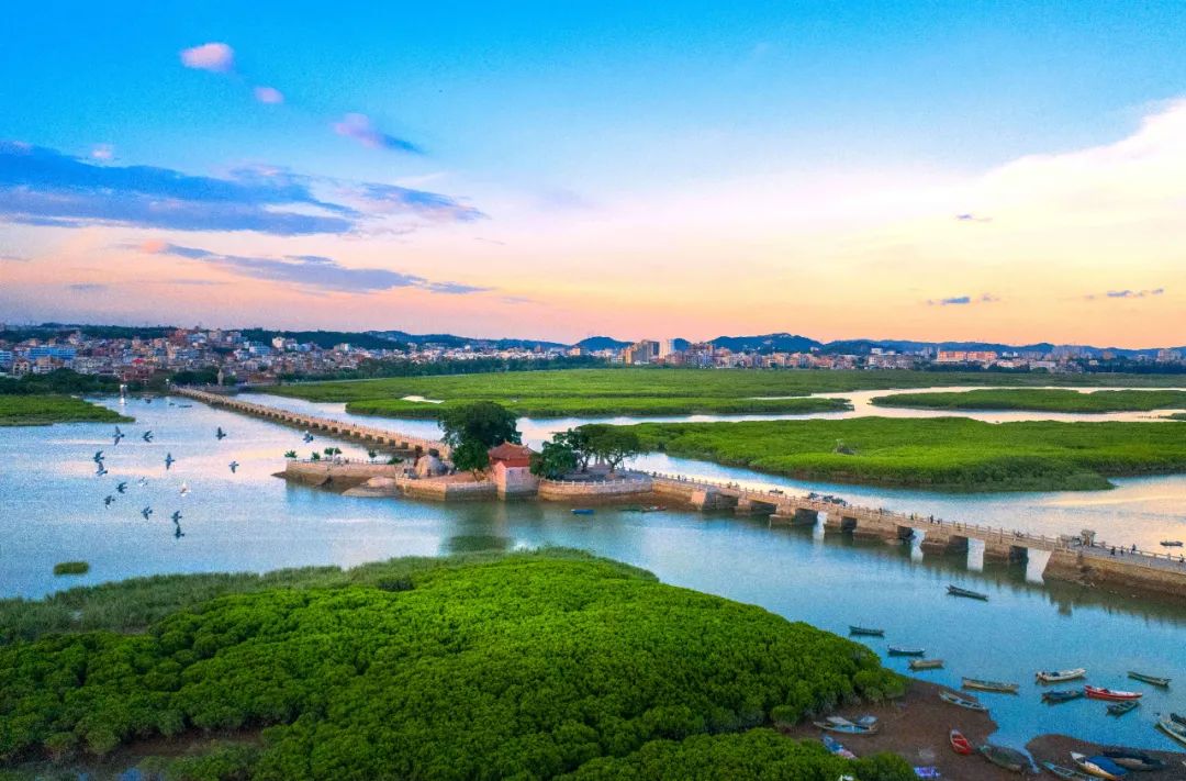 美丽中国 • 福建篇丨画好“山水画”,做好山水田文章