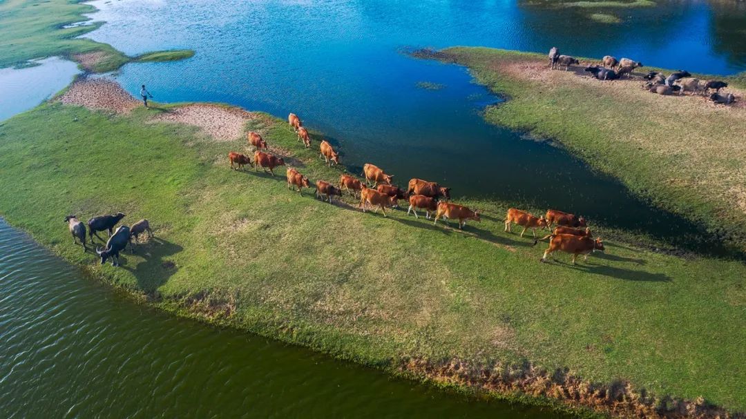 美丽中国 • 海南篇丨绿色正能量 美好新海南