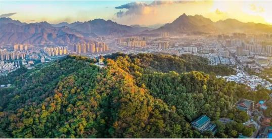 美丽中国 • 福建篇丨画好“山水画”,做好山水田文章