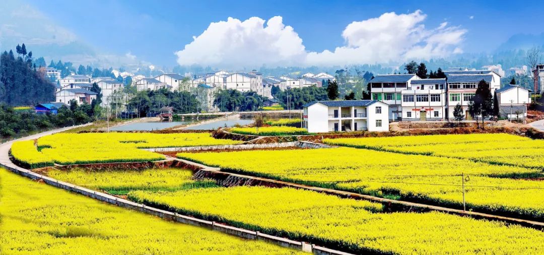 美丽中国 • 四川篇丨天府之国,巴适之地