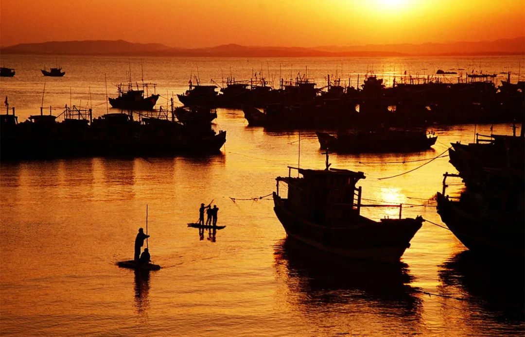 美丽中国 • 福建篇丨画好“山水画”,做好山水田文章