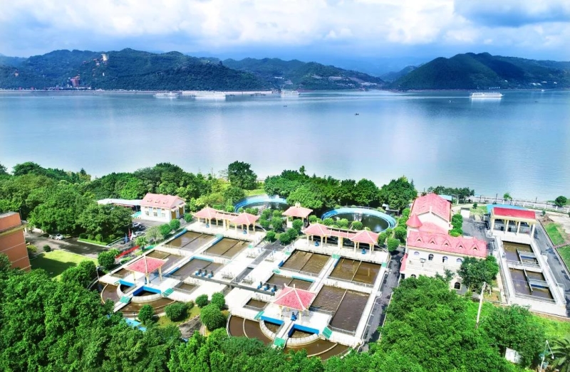 美丽中国 • 重庆篇丨山水之城,美丽之地