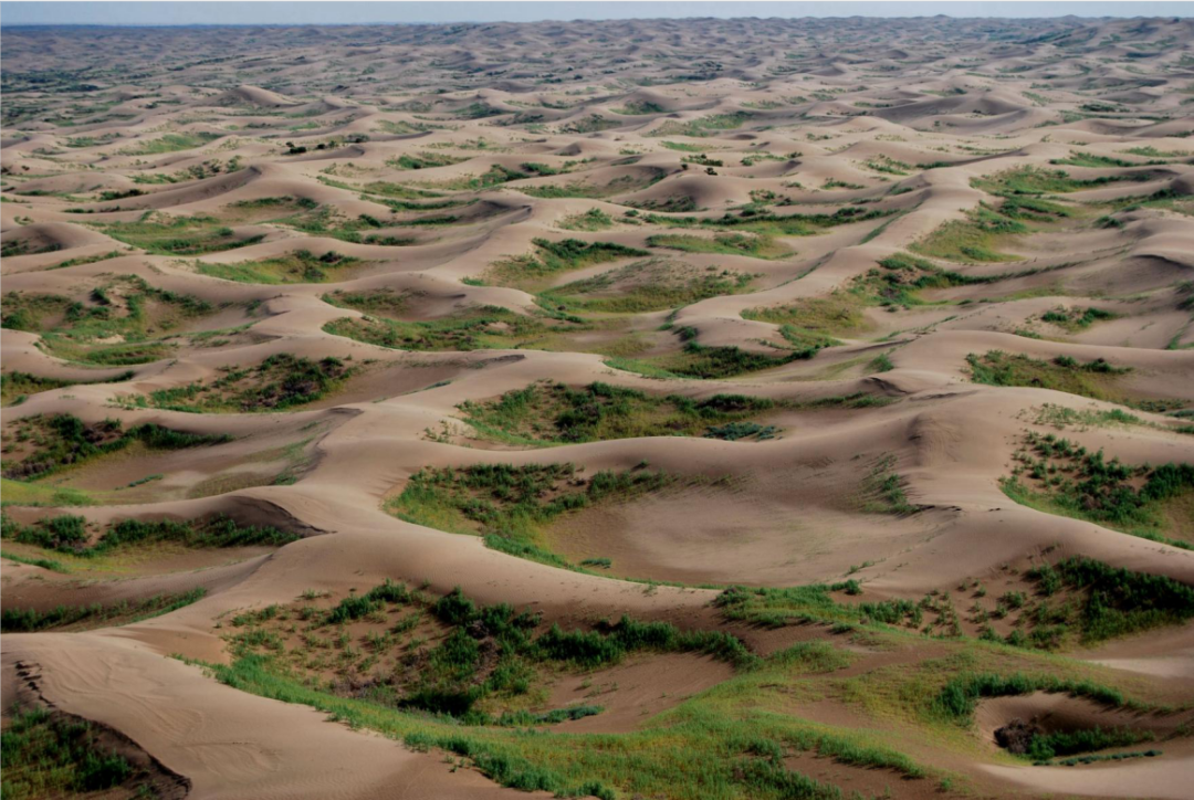 美丽中国 • 宁夏篇丨大美宁夏 生态立区
