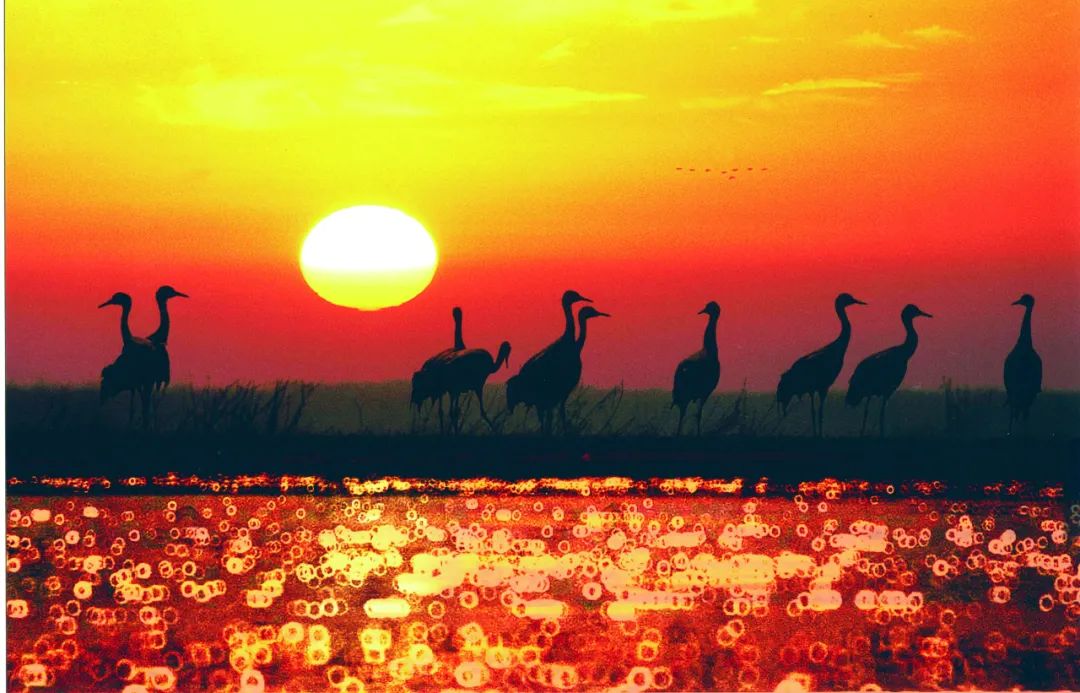 美丽中国 • 安徽篇丨建设绿色江淮美好家园