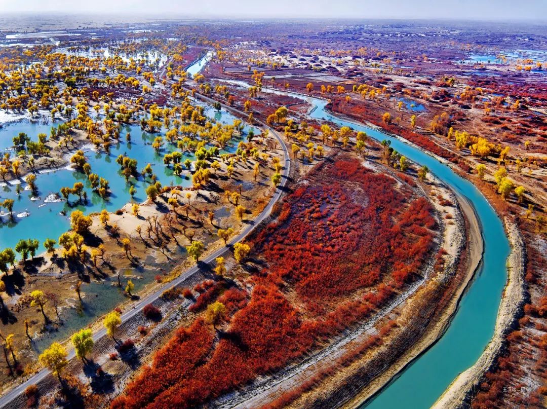 美丽中国 • 新疆篇丨大美新疆 绿色发展