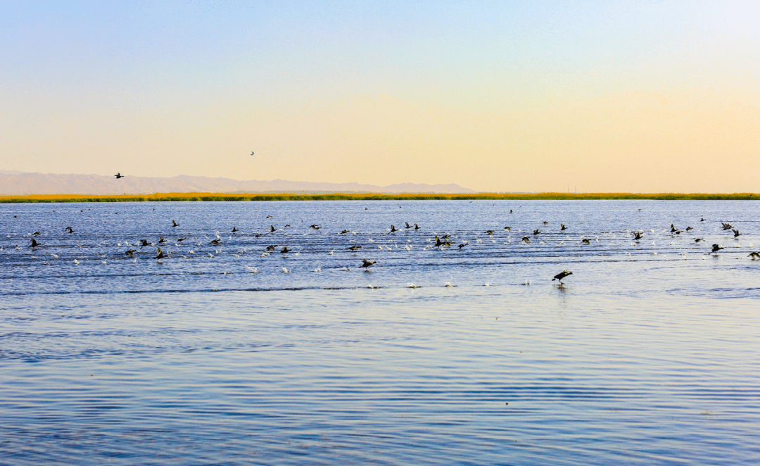 美丽中国 • 内蒙古自治区篇丨环保清风吹绿草原