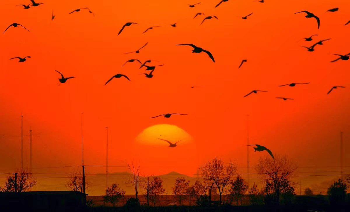 美丽中国 • 辽宁篇丨青山绿水在辽宁