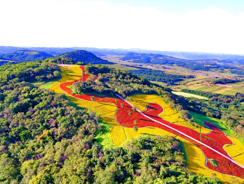 美丽中国 • 吉林篇丨守护白山松水 擘画生态吉林