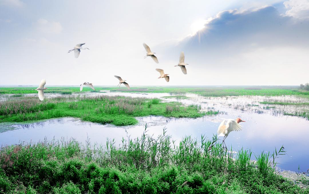 美丽中国 • 江苏篇丨环境美的新江苏展现最靓颜值