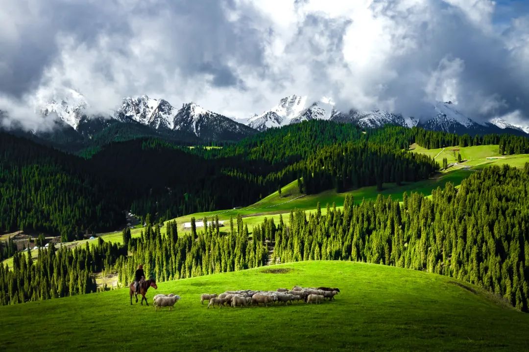 美丽中国 • 新疆篇丨大美新疆 绿色发展