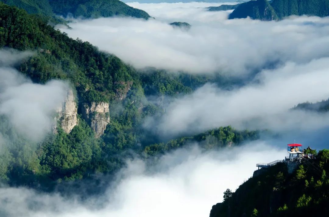 美丽中国 • 福建篇丨画好“山水画”,做好山水田文章