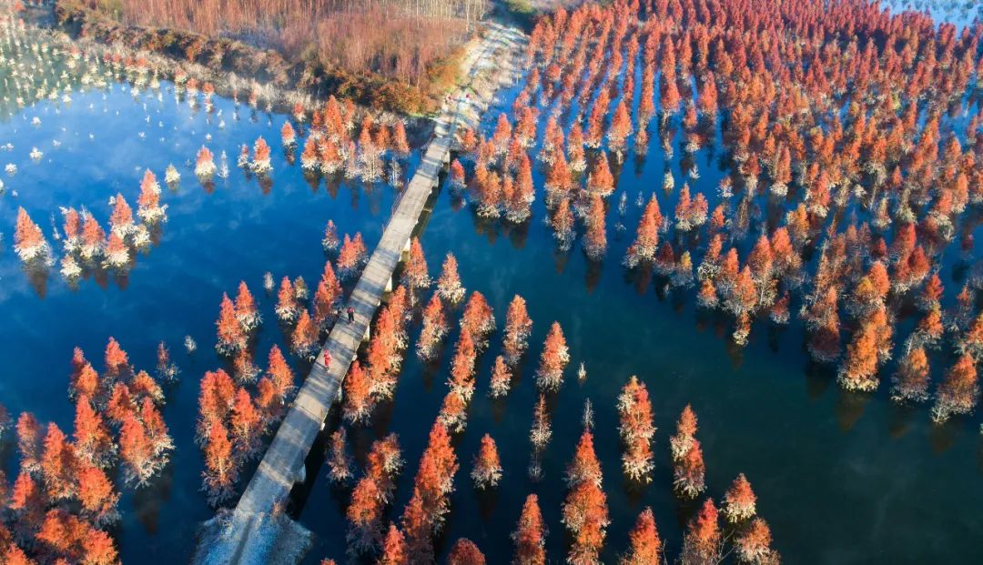 美丽中国 • 云南篇丨碧水蓝天 美丽彩云南